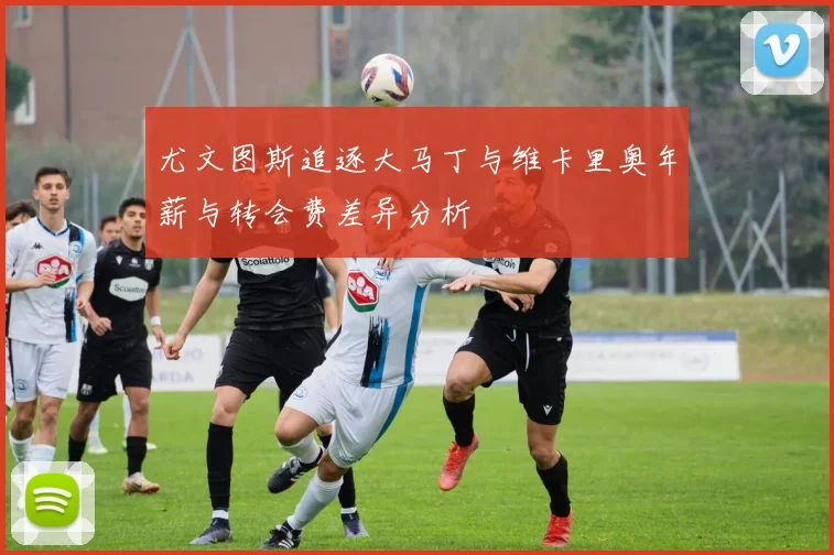 尤文图斯追逐大马丁与维卡里奥年薪与转会费差异分析