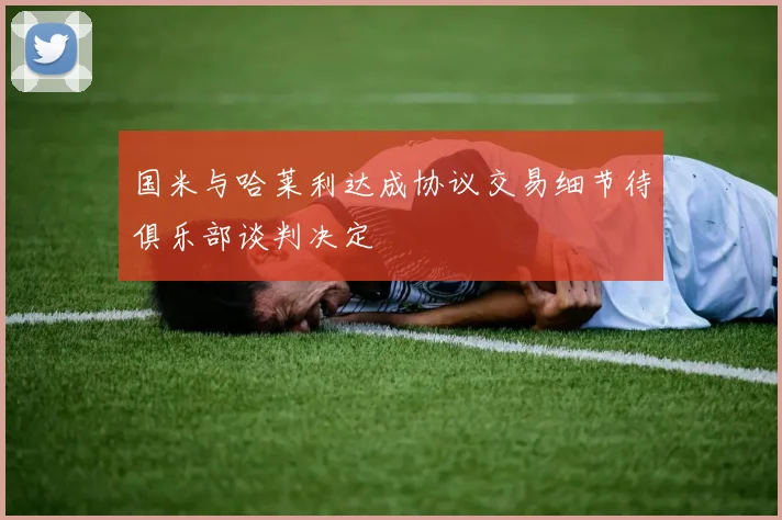 国米与哈莱利达成协议交易细节待俱乐部谈判决定